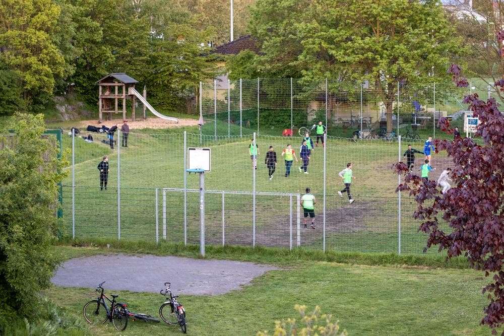 Acker – Bild 2