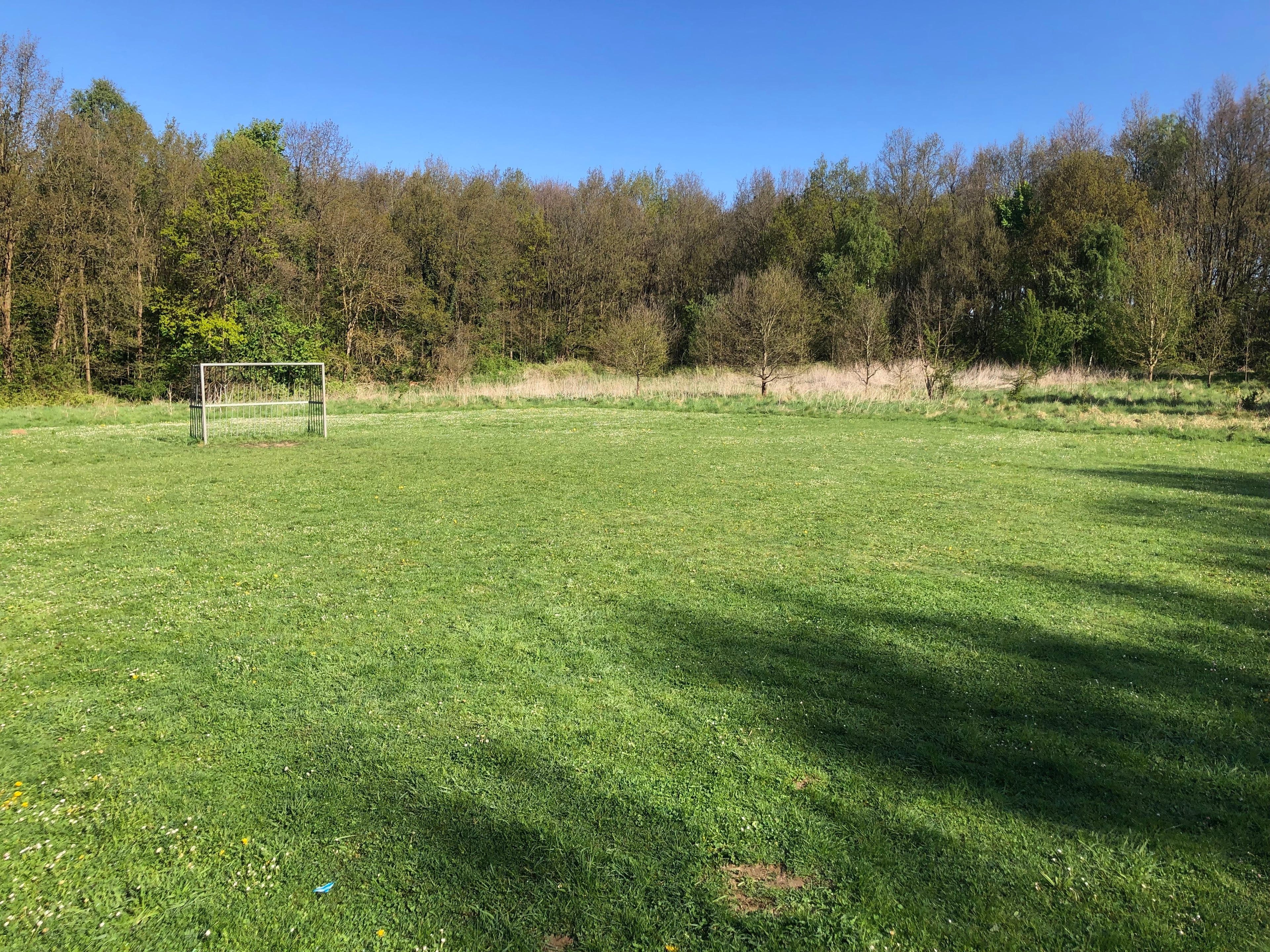 Fliegerhorst-Feld