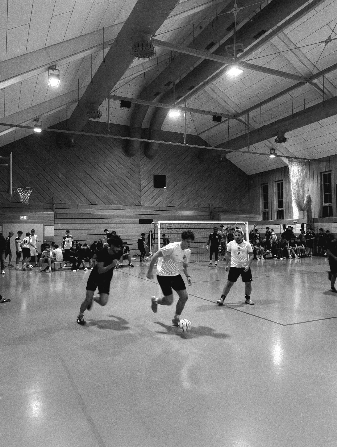 Florian-Geyer-Halle
